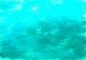 Bajo el agua 800 x 600 pxels
