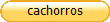 cachorros